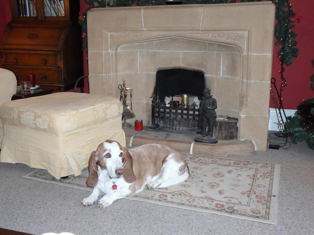 The Old Cider House Bed & Breakfast Nether Stowey Exterior foto