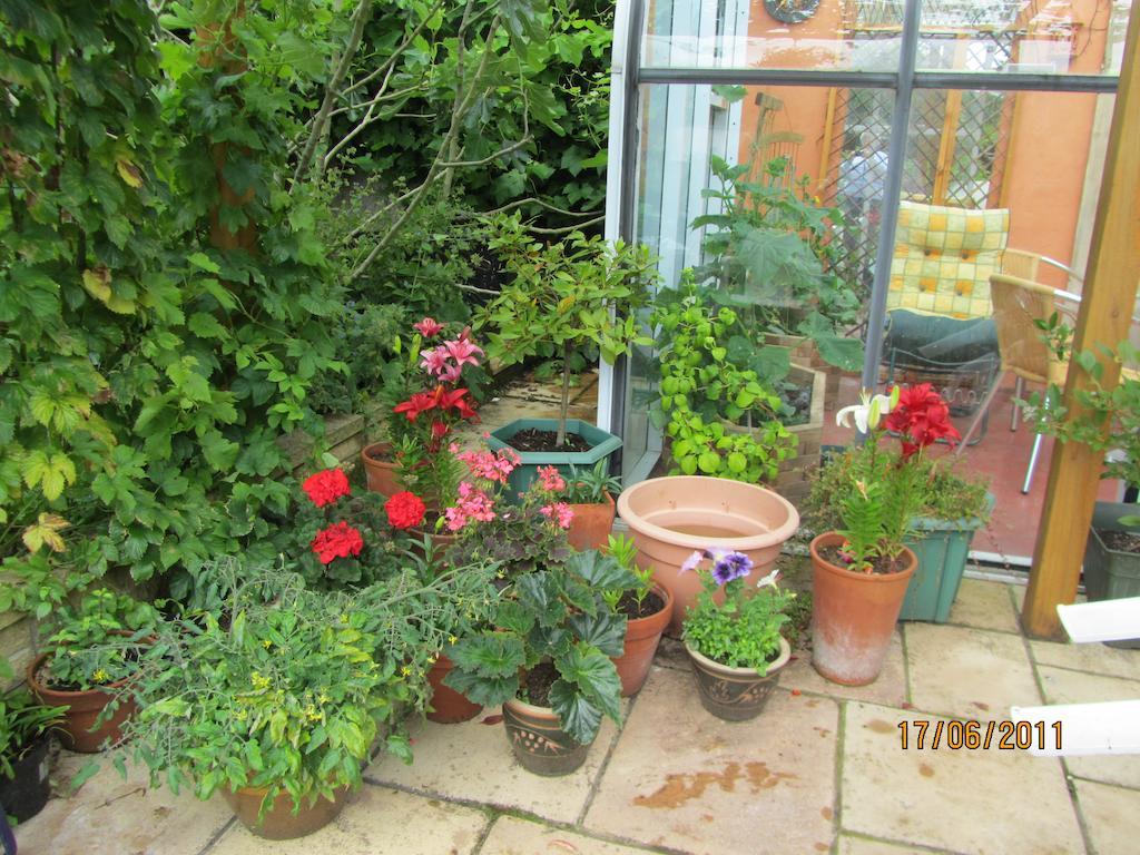 The Old Cider House Bed & Breakfast Nether Stowey Exterior foto